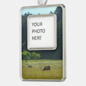 Elk Meadow in Redwood National Park Verzilverd Omlijst Ornament (Links)
