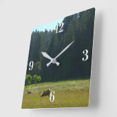 Elk Meadow in Redwood National Park Vierkante Klok (Hoek)