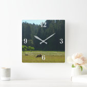 Elk Meadow in Redwood National Park Vierkante Klok (Huis)