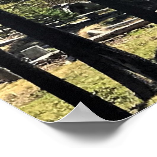 Elk meer met de berg Bachelor, OR Poster (Hoek)