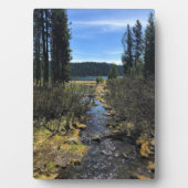 Elk meer, OR Fotoplaat (voorkant)
