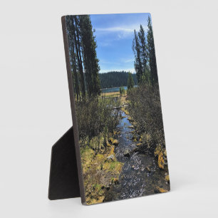 Elk meer, OR Fotoplaat