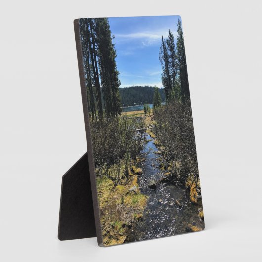 Elk meer, OR Fotoplaat (Zijkant)
