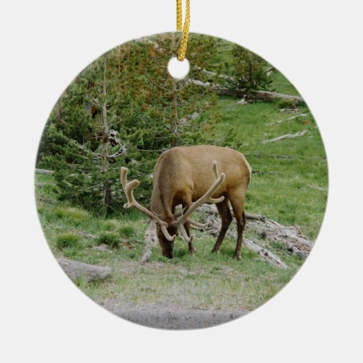 Elk met Velvet Antlers Keramisch Ornament (Voorkant)