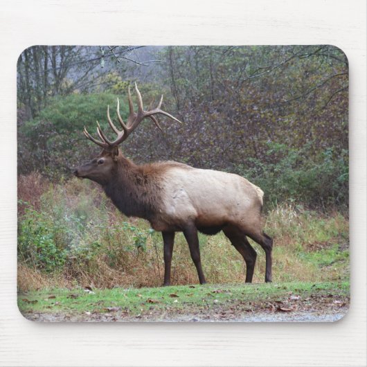 Elk Mousepad Muismat (Voorkant)