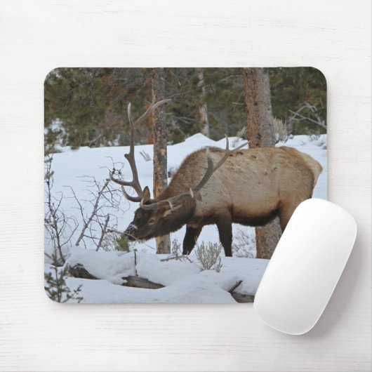 Elk Muismat (Met muis)