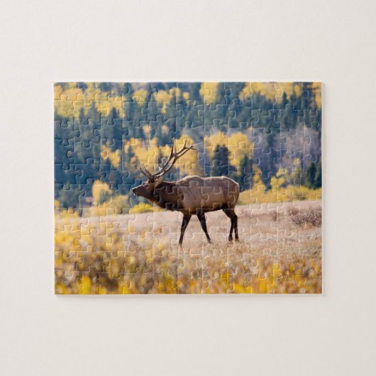 Elk nationaal park in Rocky Mountain, Colorado Legpuzzel (Horizontaal)