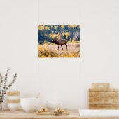 Elk nationaal park in Rocky Mountain, Colorado Poster (Keuken)