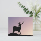 Elk nationaal park van de Rocky Mountain, Colorado Briefkaart (Staand voorkant)