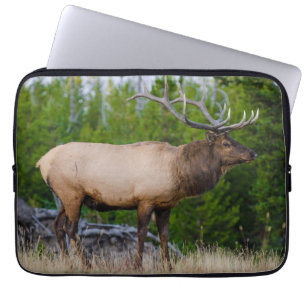 Elk   Nationaal park Yellowstone Wyoming Laptop Sleeve