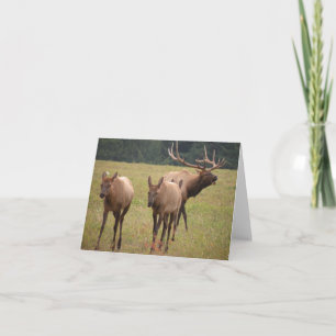 Elk Note-Kaart Kaart