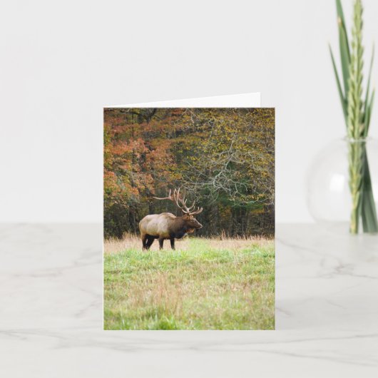 Elk Notecard Kaart (Voorkant)