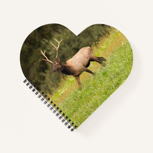 Elk Notitieboek (Voorkant)