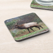 Elk Onderzetter (Linkerzijde)