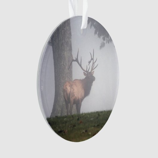 Elk Ornament (voorkant)
