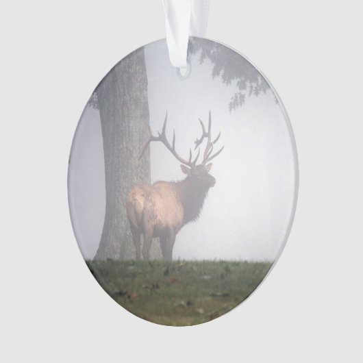 Elk Ornament (voorkant)