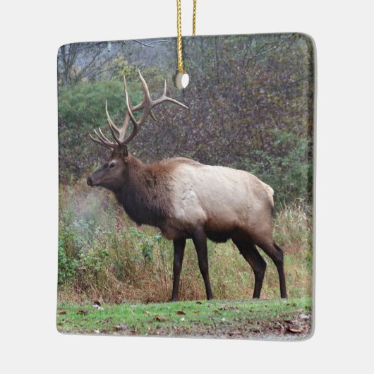Elk Ornament (Links)