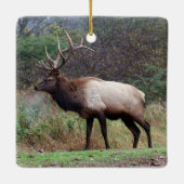 Elk Ornament (Achterkant)