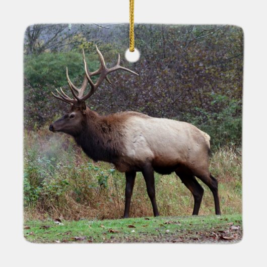 Elk Ornament (Achterkant)