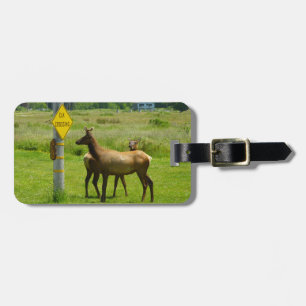 Elk Overstekende Californische Wilde Dieren Fotogr Bagagelabel