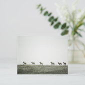 Elk P2799-Briefkaart Briefkaart (Staand voorkant)