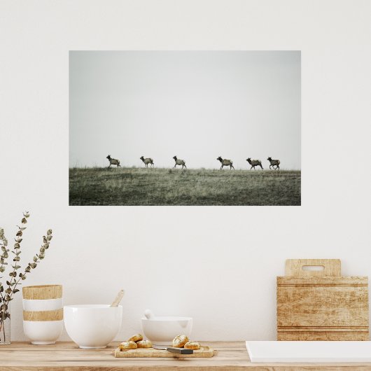 Elk P2799 Print (Keuken)
