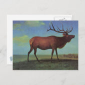 Elk Painting Briefkaart (Voorkant / Achterkant)