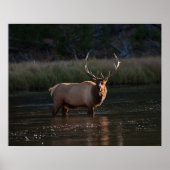 Elk Poster (Voorkant)