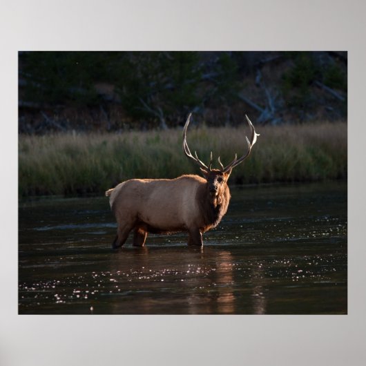 Elk Poster (Voorkant)