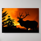 Elk Poster (Voorkant)