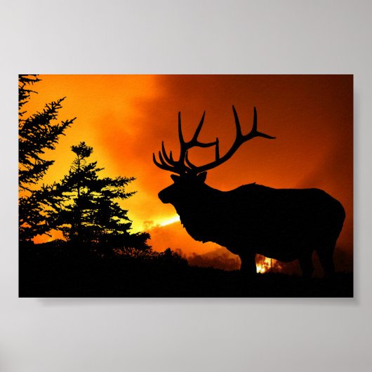 Elk Poster (Voorkant)