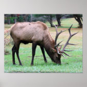 Elk Poster (Voorkant)