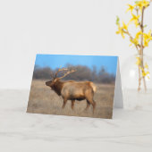 Elk profiel in het najaar kaart (Gele Bloem)