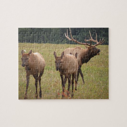 Elk Puzzle Legpuzzel (Horizontaal)