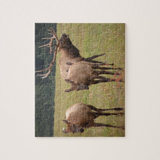 Elk Puzzle Legpuzzel (Verticaal)