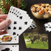 elk rijwieltje voor zoogdieren pokerkaarten (Insitu)