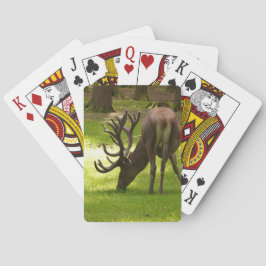 elk rijwieltje voor zoogdieren pokerkaarten