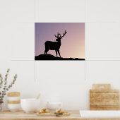 Elk Rocky Mountain National Park, Colorado Poster (Keuken)