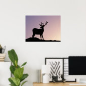 Elk Rocky Mountain National Park, Colorado Poster (Thuiskantoor)