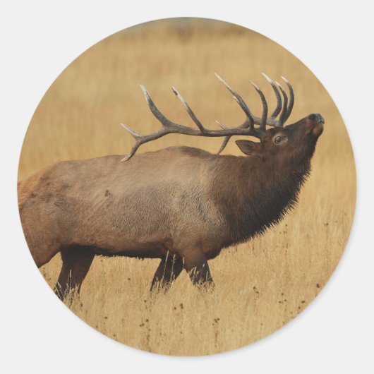 elk ronde sticker (Voorkant)