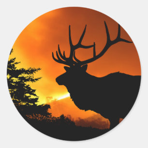 Elk Ronde Sticker