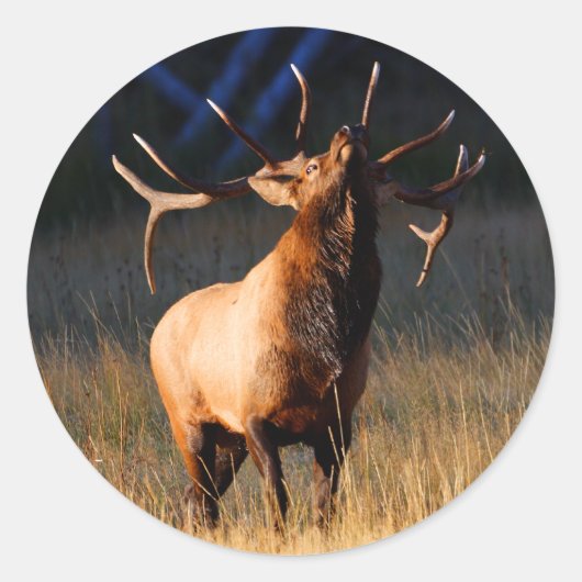 elk ronde sticker (Voorkant)
