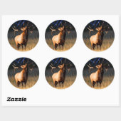 elk ronde sticker (Vel)