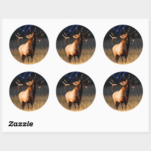 elk ronde sticker (Vel)