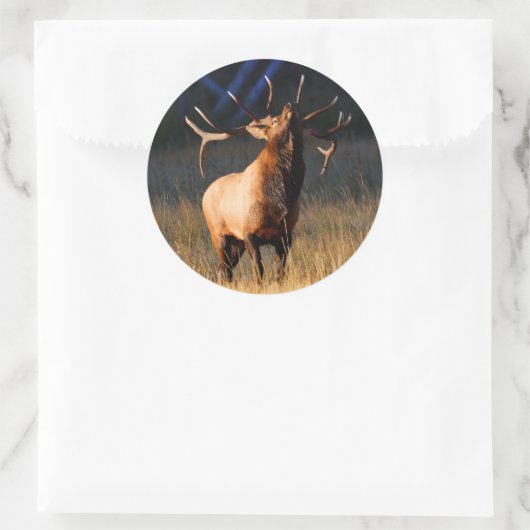 elk ronde sticker (Tas)