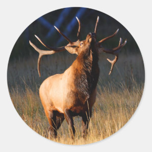 elk ronde sticker