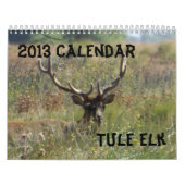 Elk rooster 2013 kalender (Hoes)