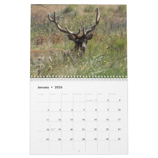 Elk rooster 2013 kalender (Jan 2026)