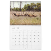 Elk rooster 2013 kalender (Mar 2027)