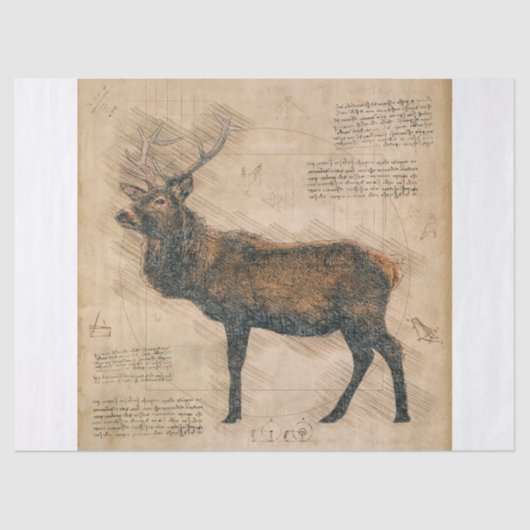 Elk Rustic Grunge Drawing Tissuepapier (Voorkant)